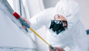 Real Estate Pest Inspections in Duquesne, PA